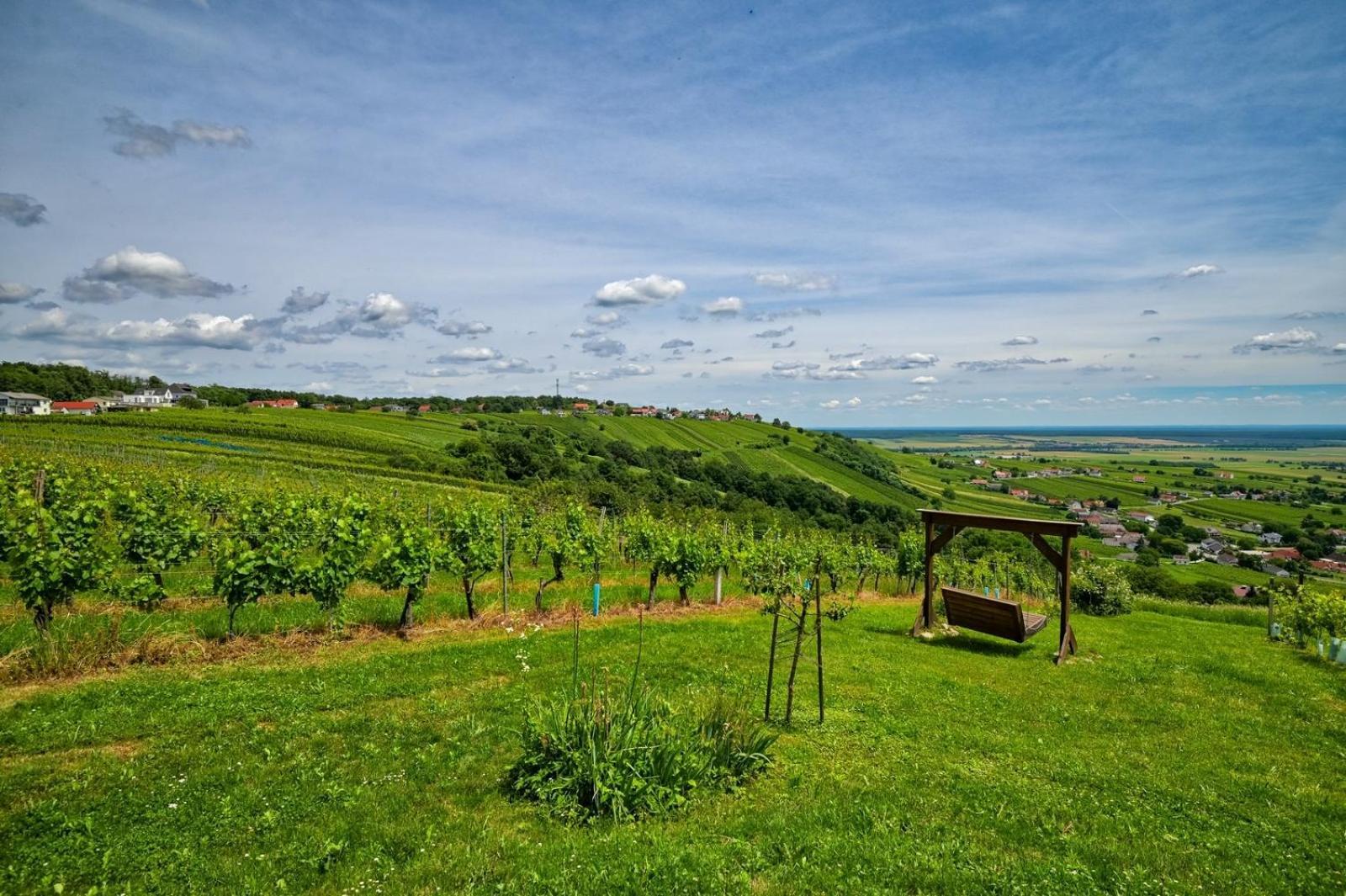 Kellerstoeckl Am Berg Villa Eisenberg an der Pinka Exteriör bild
